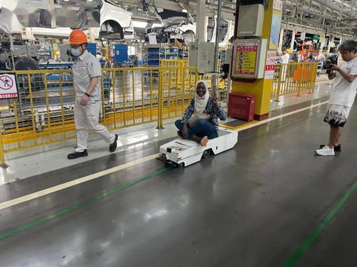 央媒聚焦襄陽(yáng) 中央廣播電視總臺(tái)亞非中心探訪襄州與高新區(qū)，解碼產(chǎn)業(yè)發(fā)展的“襄陽(yáng)密碼”